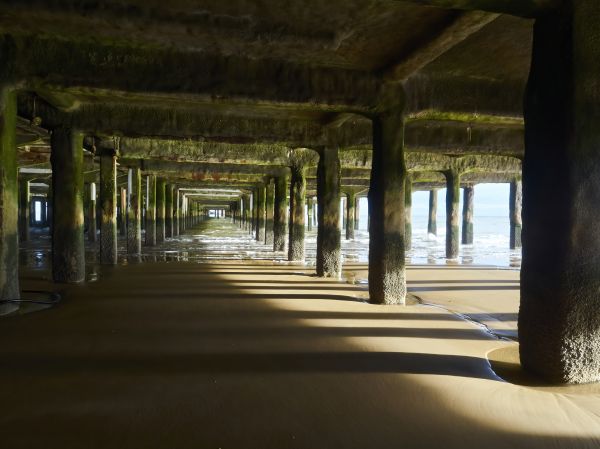 Cost of Pier And Beam Leveling in Arlington Heights
